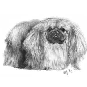Carta pechinese, regali per proprietari di cani pechinesi