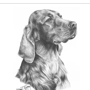 Biglietto setter irlandese, regali per biglietti d'auguri irlandesi Setter