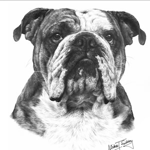 Carte de vœux Bulldog, cadeau parfait du propriétaire Bulldog, carte vierge à l’intérieur