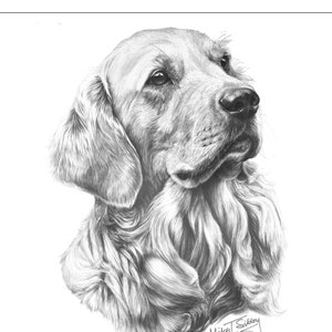 Carte Golden Retriever, cadeau Golden Retriever