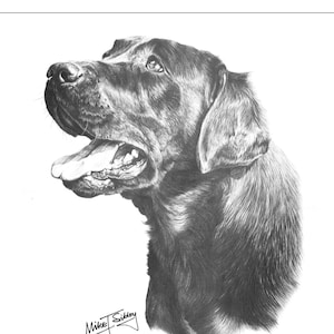 Black Lab greeting card, perfect Labrador owner gift, card blank inside