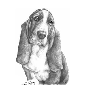 Basset Hound greeting card, Basset owner gift, dog lover card blank inside