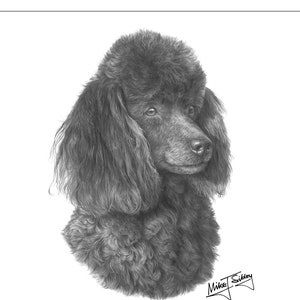 Poodle card, Poodle dog gifts