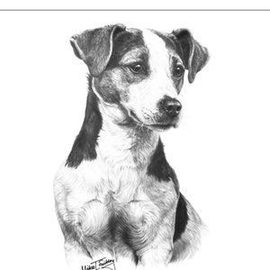 Jack Russell card, Jack Russell gifts