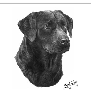 Black Labrador card, Black Labrador gifts, Black Lab