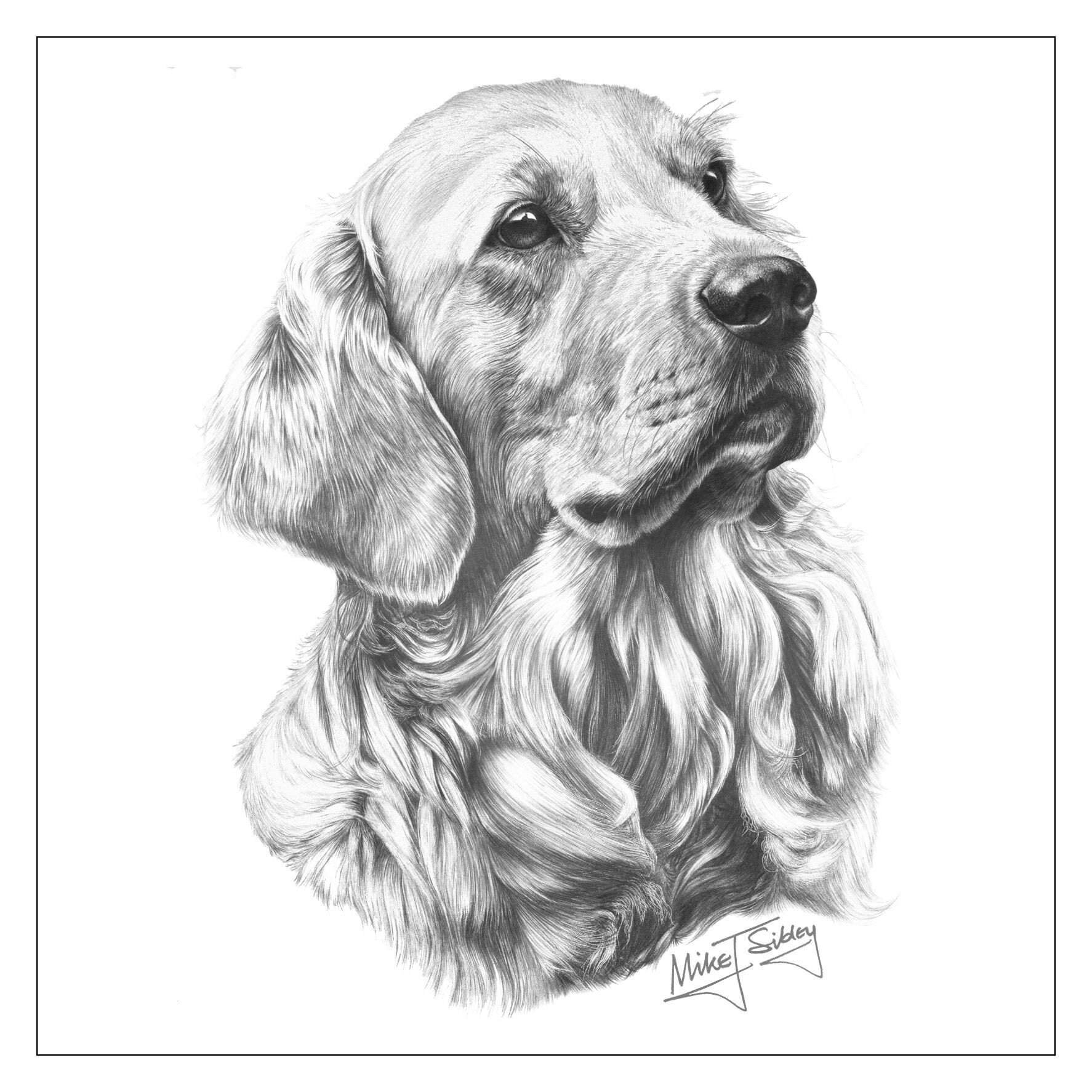 Golden Retriever card, Golden Retriever gift