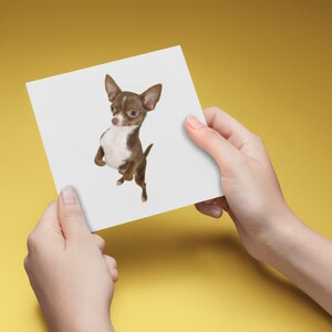 Dansende Kaart chihuahua, leuke kaart Chihuahua, de verjaardagskaart van Chihuahua
