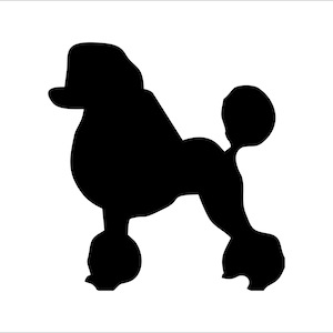 Autocollants de chien caniche, autocollant de voiture caniche, cadeaux caniche