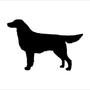 Puede incluir: Silueta de un perro negro de pie sobre un fondo blanco. El perro está mirando hacia la izquierda y tiene la cola enroscada hacia la derecha.