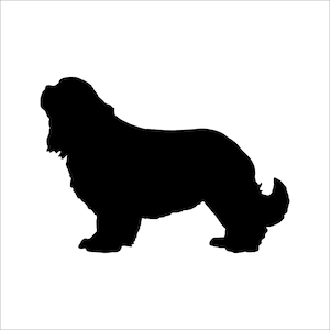 Dog Stickers, Cavalier King Charles car sticker - King Charles Dog decal window sticker - King Charles Spaniel vinyl sticker