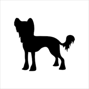 De Stickers van de hond, Chinese Kuifhondautosticker, Chinese Kuifsticker van het kuifkalkvenster, Chinese Kuif vinylsticker