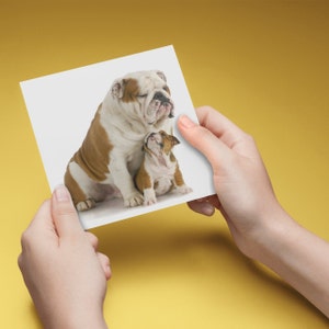 Bulldog card, British Bulldog card, English Bulldog and puppy blank card, Bulldog birthday card
