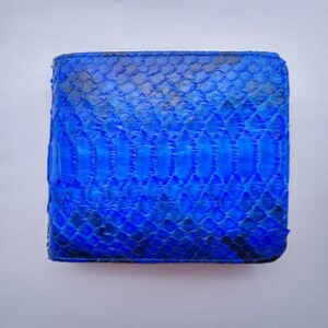May include: A square, blue wallet with a snakeskin pattern. The wallet is a vibrant shade of blue, with darker blue accents. The texture of the wallet is visible, suggesting a high-quality material. The wallet is likely made of leather.