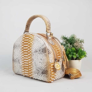 May include: A cream, gold, and white python skin handbag with a top handle and a detachable shoulder strap. The bag has two zippered compartments and a gold-toned metal zipper pull. A small potted plant is in the background.