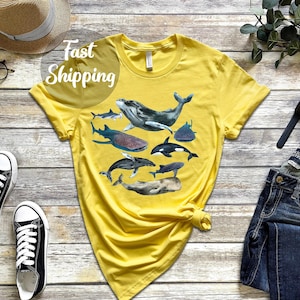 Watercolor White Shirts, Whale Shirts, Types Of Whale Shirt Illustrated T Shirt Whale Gift Idea, Whale Species Great White Hammerhead Shirt