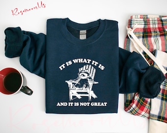 Sudadera con frases como "Es lo que es y no es genial", "Salud mental", "Divertida", "Mapache", "Sarcástico"