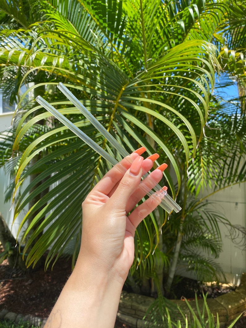 May include: Two clear glass drinking straws held in a hand against a background of green palm leaves.