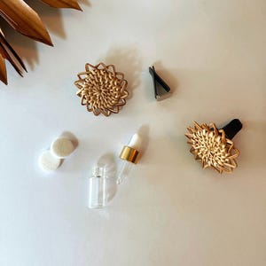 May include: An assortment of aromatherapy items, including two woven rattan car air fresheners, a small glass bottle, a dropper, two white absorbent pads, and a metal clip. The items are arranged on a white surface.