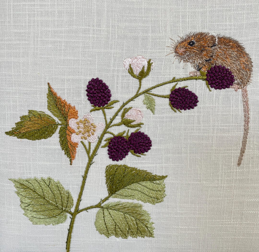 Mouse And Raspberry Fabric Harvest Mouse Embroidered Textile Art, Blackberries, Framed Linen ...