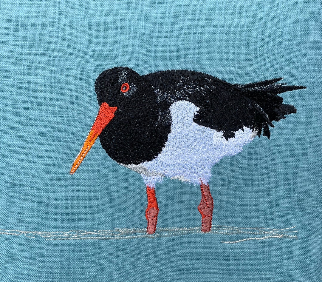 Oystercatcher Framed Picture on Teal Blue Linen. Original Etsy