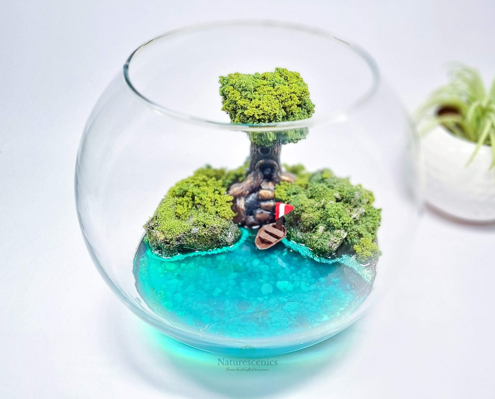 Glass Terrarium Bowl Terrarium Accessory Moss Terrarium Etsy