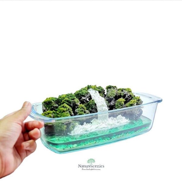 Waterfall Terrarium Etsy