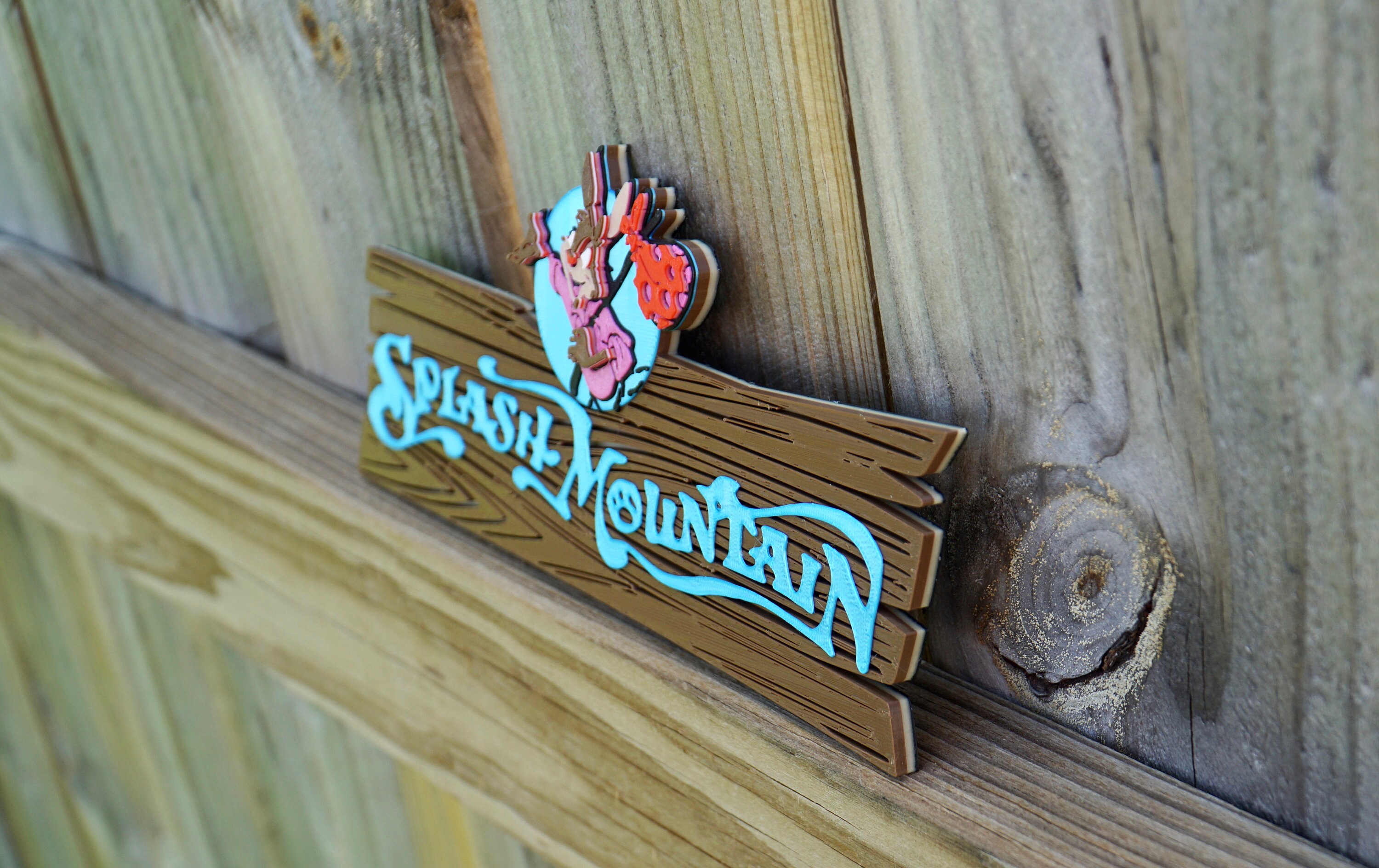 Splash Mountain Sign Etsy