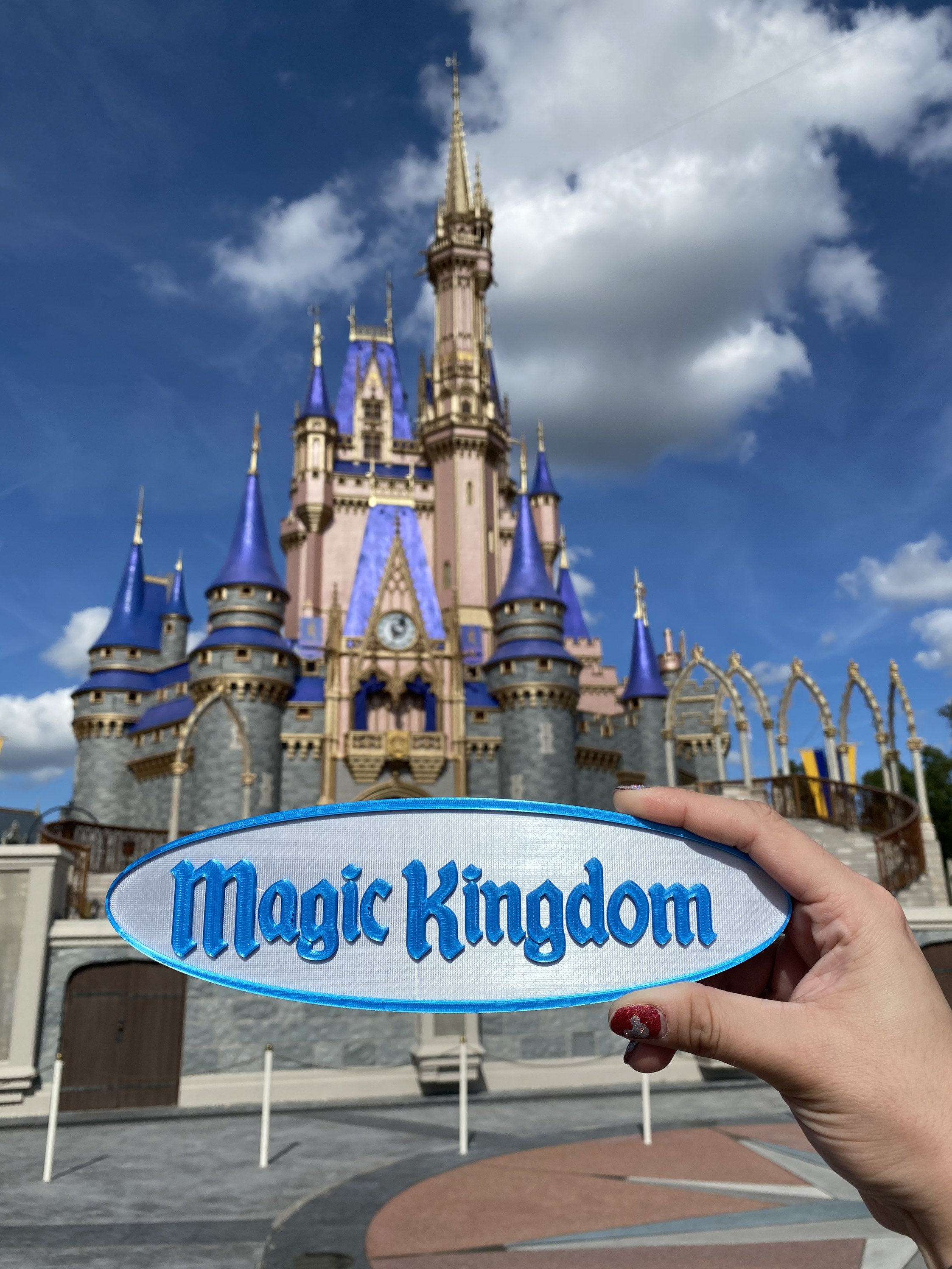 Magic Kingdom Inspired Sign - Etsy