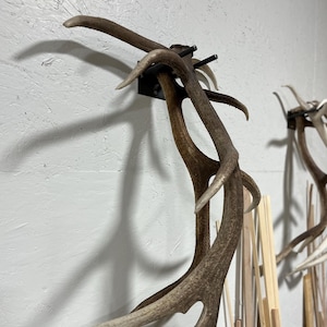 Elk shed antler display rack