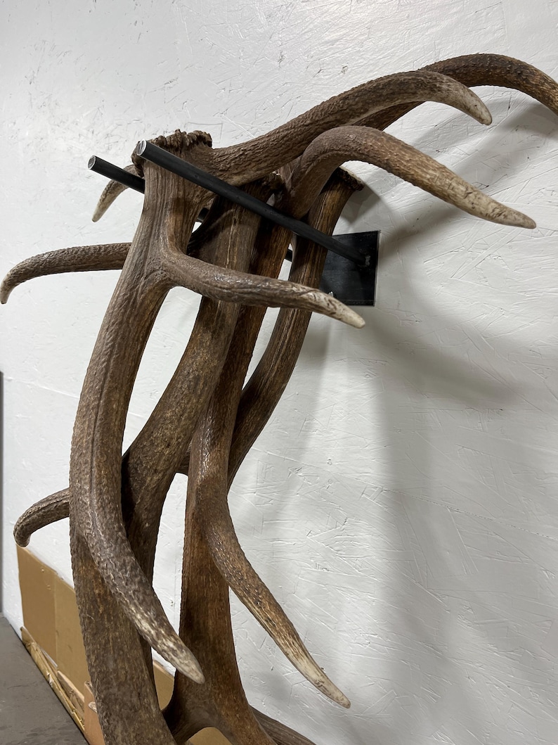 Small Elk Rack Elk Shed Antler Display Rack - Etsy