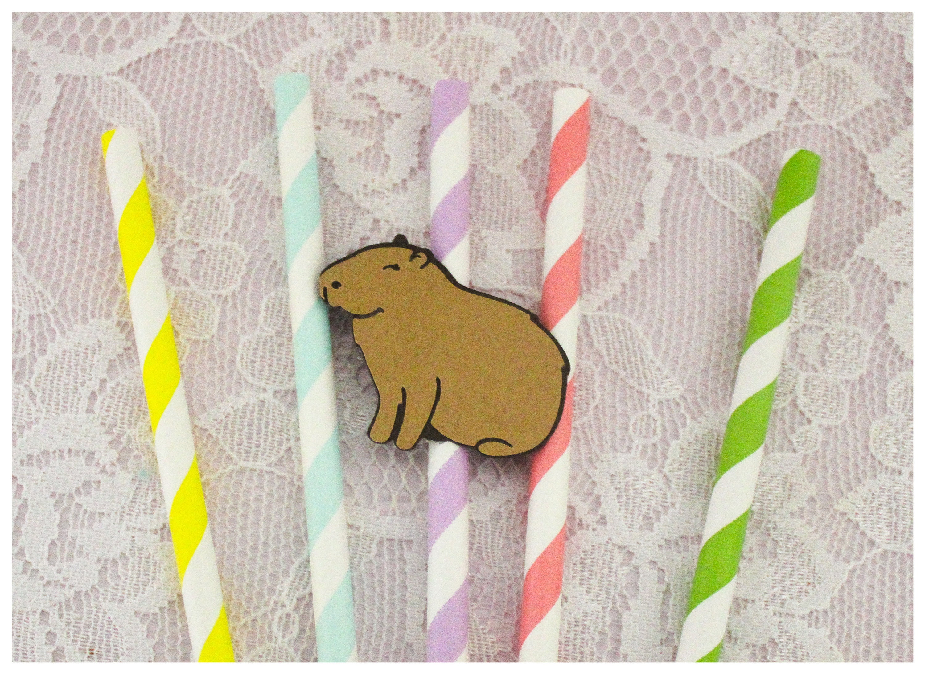 Set Decorazione Compleanno Capibara - Banner, Topper Torta, Cupcake Toppers, Palloncini, Tema Animali - Foto 8