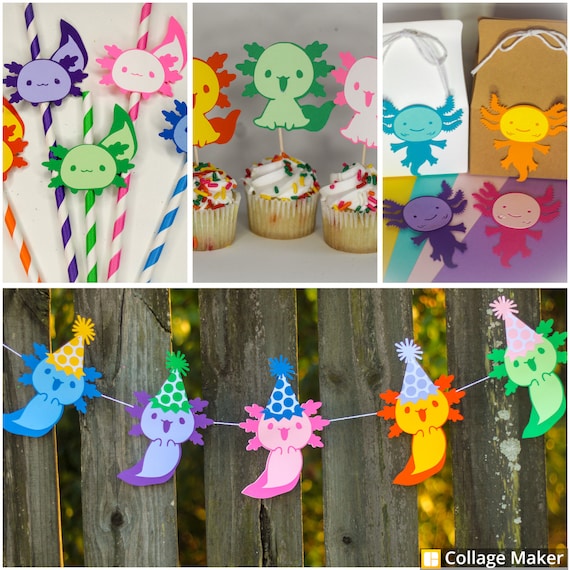 Axolotl Birthday Party Decorations Party Supplies  