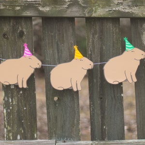 Capybara Party Banner