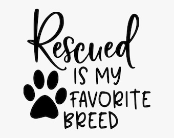 Custom Door Decals Vinyl Stickers Multiple Sizes Name Pet Adoption Date Orange Yellow Business Pet Adoptions Outdoor Luggage & Bumper Stickers for Cars Orange 24X18Inches Set of 5 Custom Door Decals Vinyl Stickers Multiple Sizes Name Pet Adoption Date Orange Yellow Business Pet Adoptions Outdoor Luggage & Bumper Stickers for Cars Orange 24X18Inches Set of 5