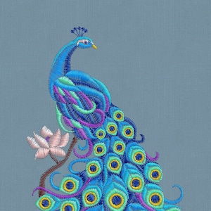 Embroidery design peacock bird pes hus  jef 3 sizes