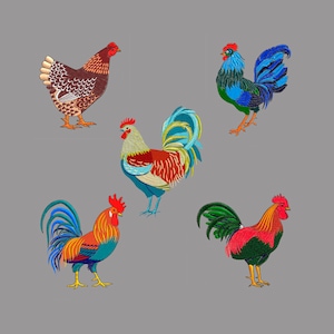 Embroidery design 5 set roosters chick cockerel bird pes hus 2 sizes  jef 4x4&quot;