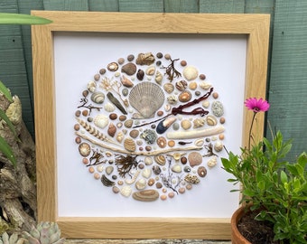 Driftwood Shell Art: Framed Coastal Rockpool Decor