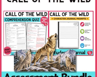 Call of the Wild Assessment Bundle | Chapter Quizzes & Character Journal | Novel Study Activities | Reading Comprehension Printable