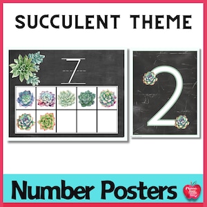 May include: Number posters with a succulent theme. The posters feature the numbers 7 and 2, with succulent illustrations. The number 7 poster has a ten frame. The text "SUCCULENT THEME" and "Number Posters" are displayed.
