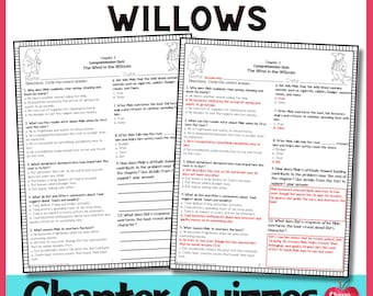 Wind in the Willows Novel Study, Comprehension Questions, Reading Quizzes