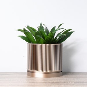 Puede incluir: Una planta verde en una maceta de color dorado con un diseño acanalado. La maceta tiene un platillo a juego.