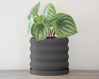 The Bubbly Planter in Black