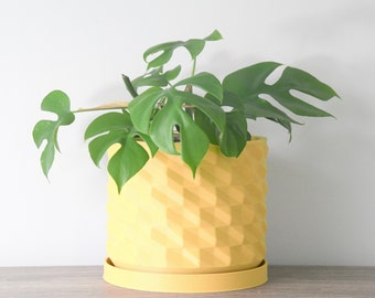 The Bibliotheque Planter in Yellow