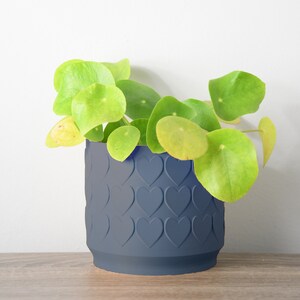 Heart Planter with Drainage, 3D Printed Plant Pot, Home Decor, Blue Planter, 6 Inch, 8 Inch, Succulent Pot, Flower Pot, Unique Planter, Plant Lover Gift, Gifts for Her, Event Decor, Farmhouse Planter, Minimalist Plant Pot, Miss Planty Pants