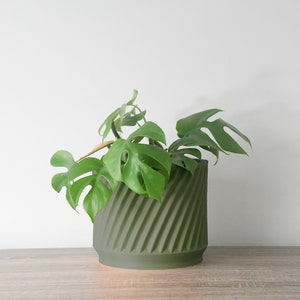 May include: A green potted plant with large, green leaves in a textured, green ceramic pot. The pot has a spiral design.