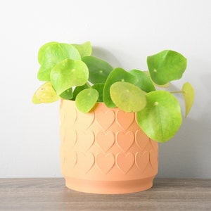 May include: A green leafy plant in a peach-colored ceramic pot with a heart pattern. The pot is sitting on a wooden surface.