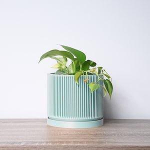 May include: A light green ceramic planter with a ribbed design, featuring a green plant with leaves and small orange flowers.