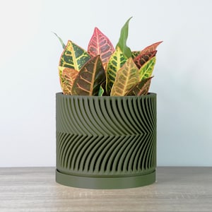 Puede incluir: Una maceta de cerámica verde con un patrón ondulado, que presenta una planta de hojas verdes, amarillas y rojas.