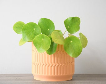 The Mabel Planter in Peach