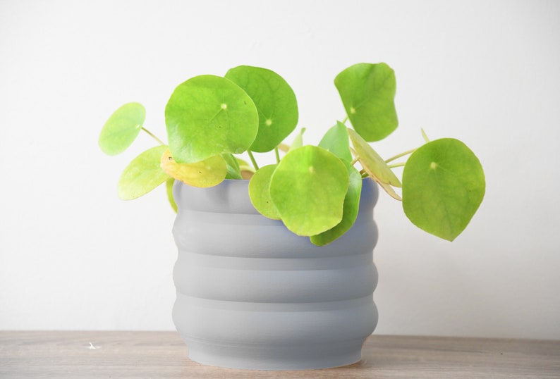 Bubbly Planter with Drainage, 3D Printed Plant Pot, Home Decor, 6 Inch, 8 Inch, Succulent Pot, Flower Pot, Unique Planter, Plant Lover Gift, Gifts for Her, Event Decor, Retro Planter, Minimalist Plant Pot, Miss Planty Pants